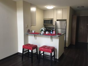 Apartment Remodel Twin Cities