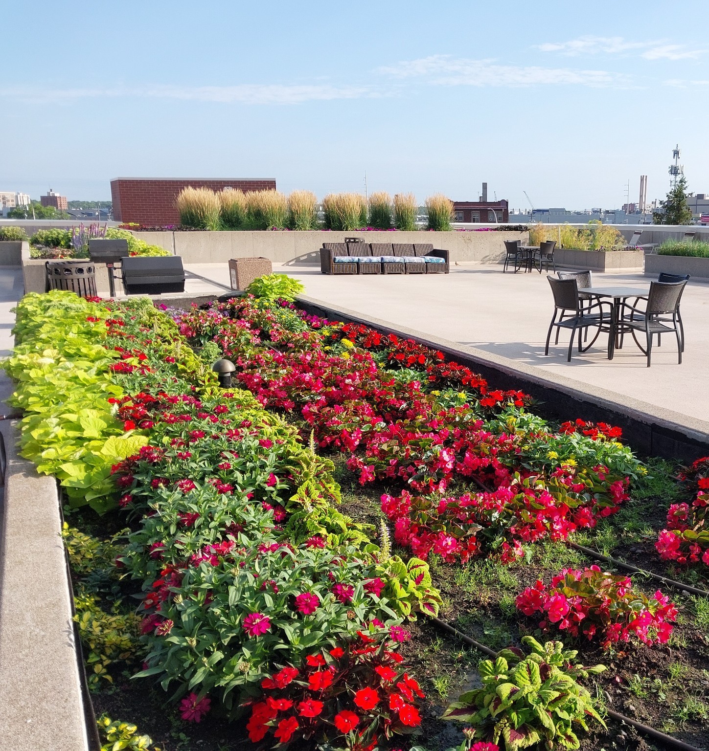 Rooftop patio and garden Minneapolis